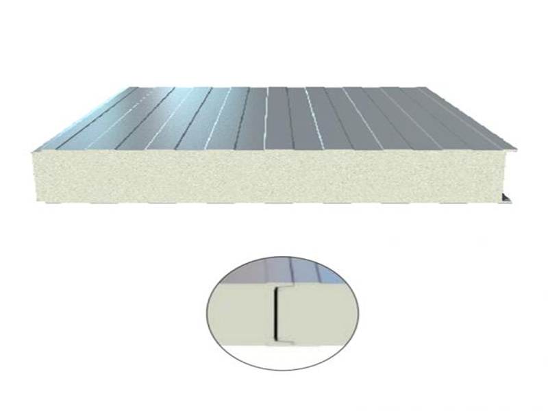 High Quality China C-Type Cold Room Sandwich Panel Manufacturers for with FM