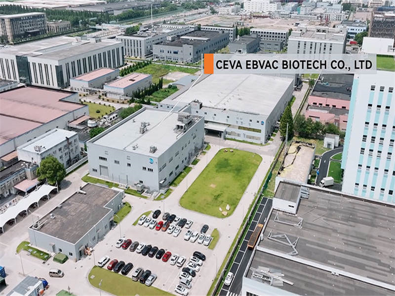 Project Case : Ceva Ebvac Biotech Co., Ltd