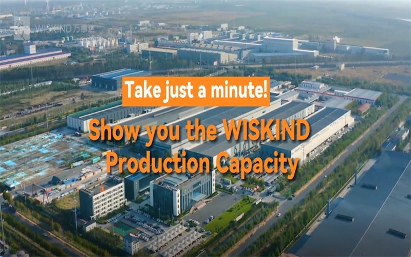 Wiskind Production Capacity