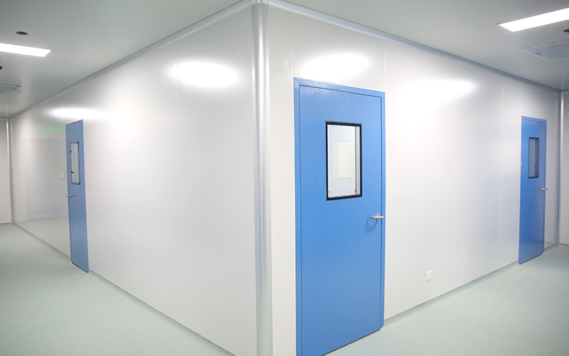 High-quality Spraying Steel Paper Honeycomb Cleanroom Door For Pharmaceutical Factories