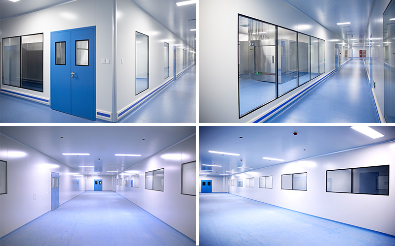 Case Study of Wiskind Pharmaceutical Cleanroom Project