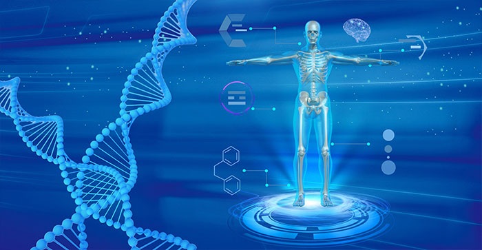 Case Study | Cells Change The Length And Abundance Of Life