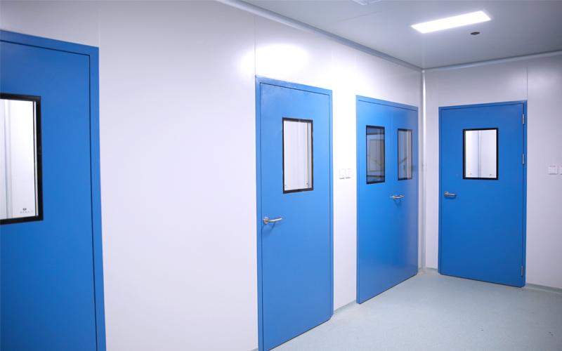 Steel Cleanroom Door 