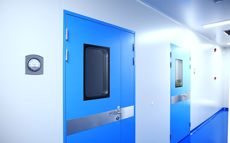 Steel Cleanroom Door