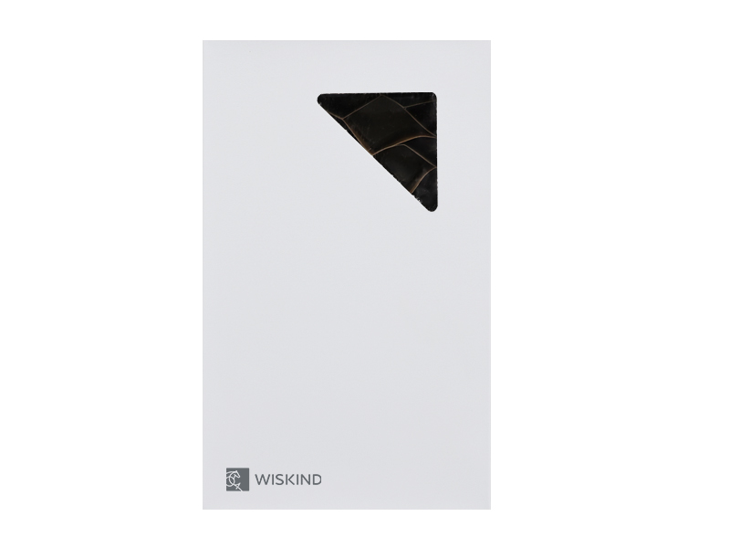 Paper honeycomb cleanroom sandwich panel