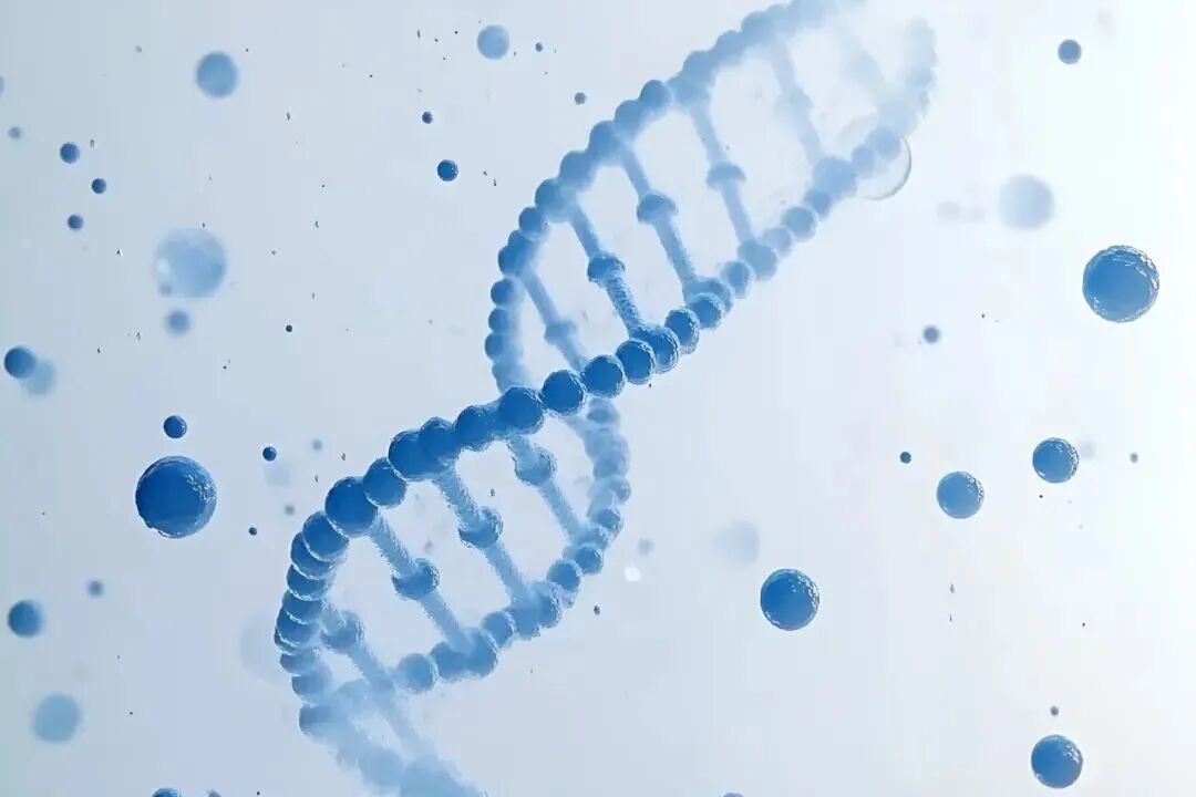 Shandong First Medical University Partners with Wiskind to Build a High-Quality Cell Laboratory